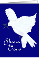 Shana Tova!-White Dove with olive branch card
