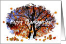 Happy Thanksgiving! Autumn Colors/Tree with falling leaves card