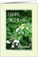 Happy Birthday Friend! card