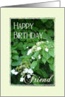 Happy Birthday Friend! card