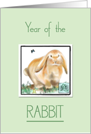 Year of the Rabbit-Chinese New Year card