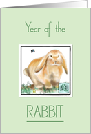 Year of the Rabbit...