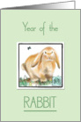 Year of the Rabbit-Chinese New Year card