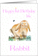 1st Birthday/ Rabbit...