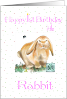 1st Birthday/ Rabbit Child-Chinese Astrology card