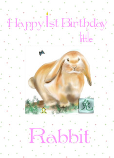 1st Birthday/ Rabbit...