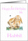 1st Birthday/ Rabbit Child-Chinese Astrology card