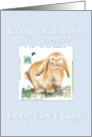 New Baby Boy-Chinese Astrology/Year of the Rabbit card