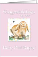 Congratulations New Baby Girl-Year of Rabbit/Chinese Astrology card