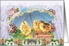 Three Easter Chicks Greeted Card