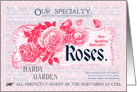 Our Specialty Roses All Occasion Vintage Card