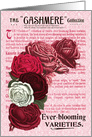 Cashmere Roses All Occasion Vintage Card