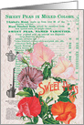 Sweet Peas in Mixed Colors All Occasion Vintage Card