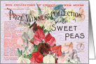 Prize Winning Sweet Peas All Occasion Vintage Card