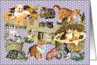 Kitties in the Garden All Occasion Vintage Card