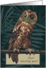 Missing You Masked Owl During Covid 19 card