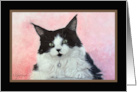 White and Black Household Kitty Original Oil Painting Blank Note card