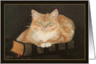 Orange Tabby Cat on Antique Books Original Oil Painting Blank Note card