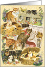 Kitty World All Occasion Vintage Card