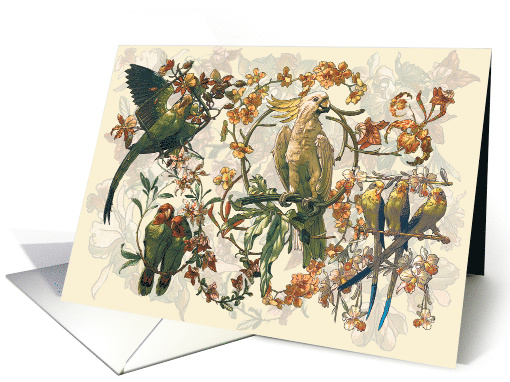 Exotic Birds and Orchids All Occasion Blank card (1479518)