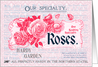 Our Specialty Roses All Occasion Vintage Card