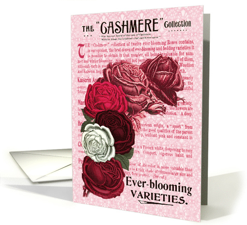 Cashmere Roses All Occasion Vintage card (1479534)