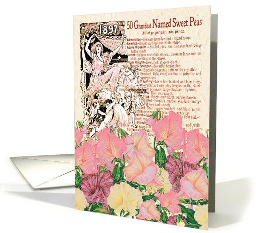 Grandest Named Sweet Peas All Occasion Vintage card (1479544)