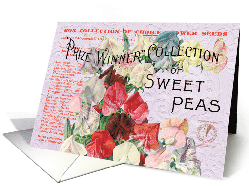 Prize Winning Sweet Peas All Occasion Vintage card (1479546)