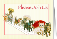 Kitties Walking Together a Group Vintage All Occasion Invitation card
