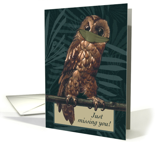 Missing You Masked Owl During Covid 19 card (1642608)