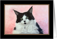 White and Black Household Kitty Original Oil Painting Blank Note card
