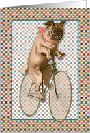 Girl Pug Bike Rider card