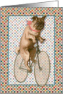 Girl Pug Bike Rider card