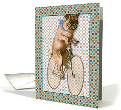Boy Pug Bike Rider card (257159)