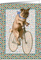 Boy Pug Bike Rider card