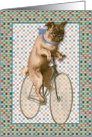 Boy Pug Bike Rider card