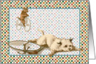 Dog Bike Riders card
