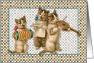 Three Kitty Band card