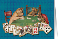 Pug Poker