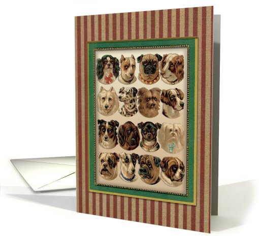 Dogs,Dogs,Dogs card (260042)
