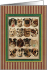 Dogs,Dogs,Dogs card