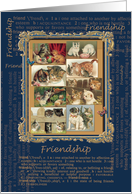 Friendship Kitties general cats and young cats Vintage card