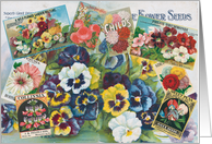 Flowers for Spring Planting card