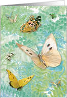 Butterflies in the Fern Garden card