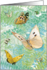 Butterflies in the Fern Garden card