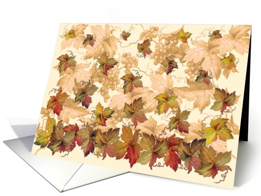 Autumn at the Napa Vineyard card (260162)