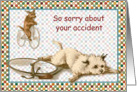 Sorry about your Accident card