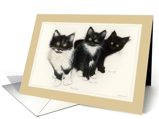 Three Kitty Brothers card (444992)