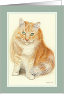 A Happy Orange Cat card