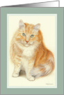 A Happy Orange Cat card